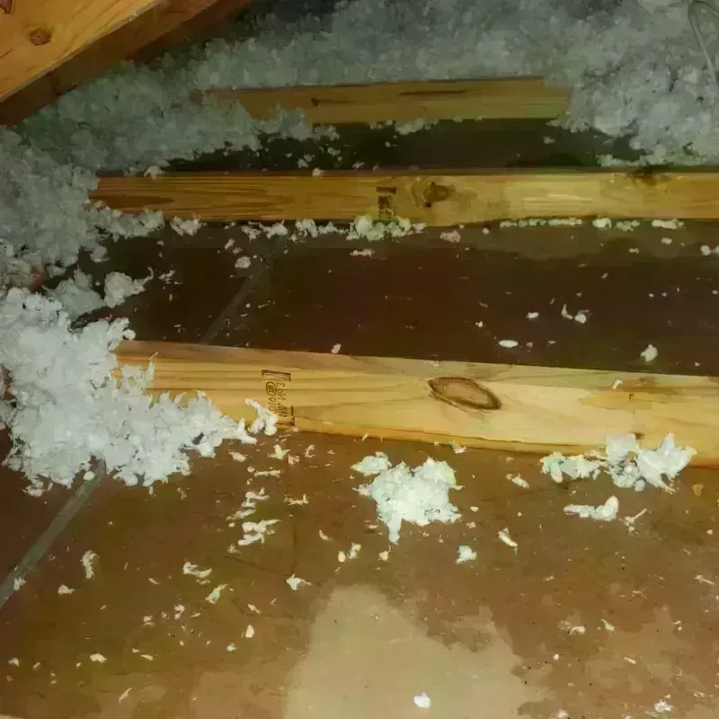 Attic Water Damage in Quitman, TX